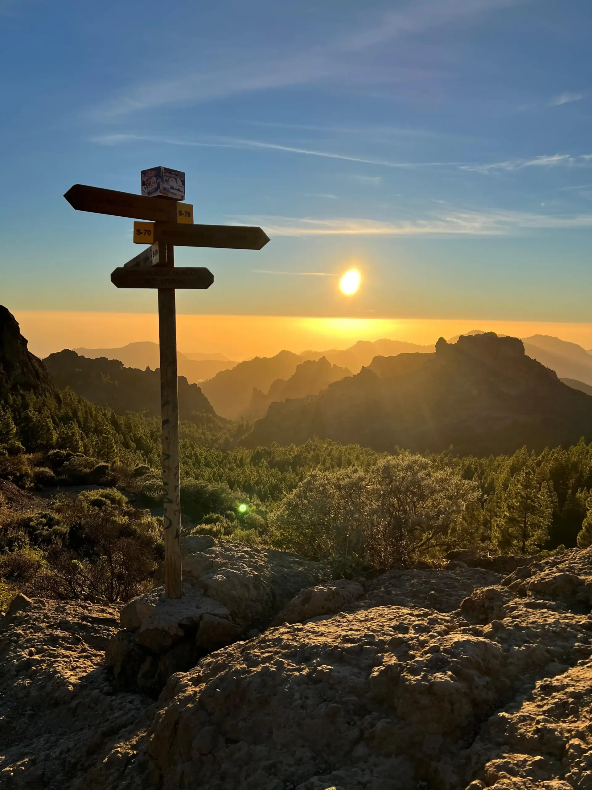 precios-de-nuestros-servicios